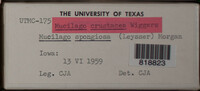 Image Associated With the Occurence